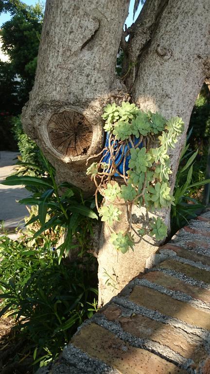 House Grabic Hotel Tivat Kültér fotó
